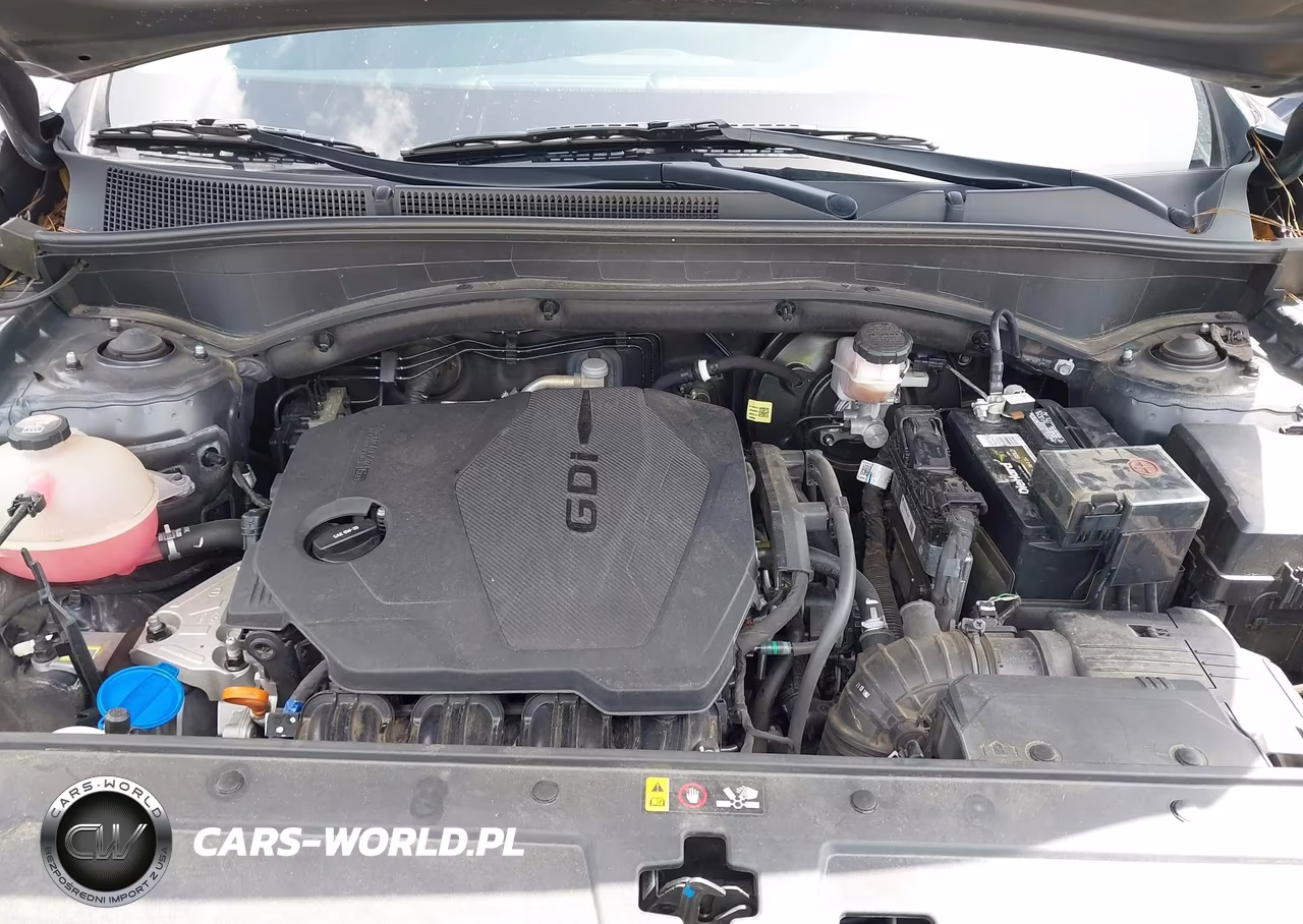 2022 Hyundai Santa Fe Xrt VIN:5NMS64AJ0NH413260 - 10