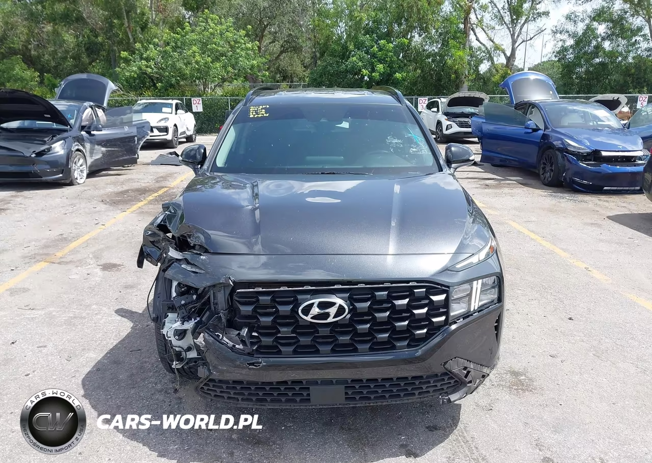 2022 Hyundai Santa Fe Xrt VIN:5NMS64AJ0NH413260 - 13