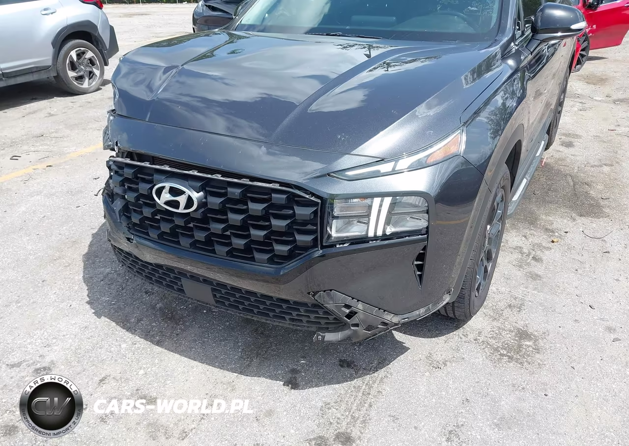 2022 Hyundai Santa Fe Xrt VIN:5NMS64AJ0NH413260 - 6