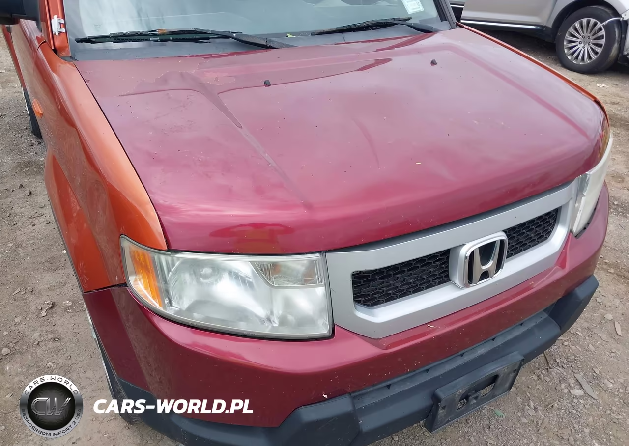 2010 Honda Element Lx VIN:5J6YH2H37AL003509 - 6