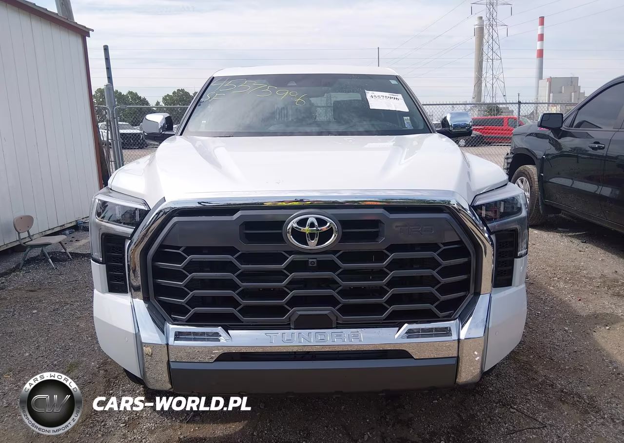 2025 Toyota Tundra 1794 Edition VIN:5TFMA5DB1SX319747 - 12
