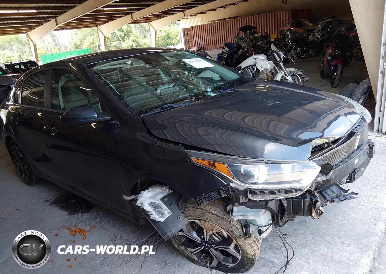 2019 Kia Forte Lxs