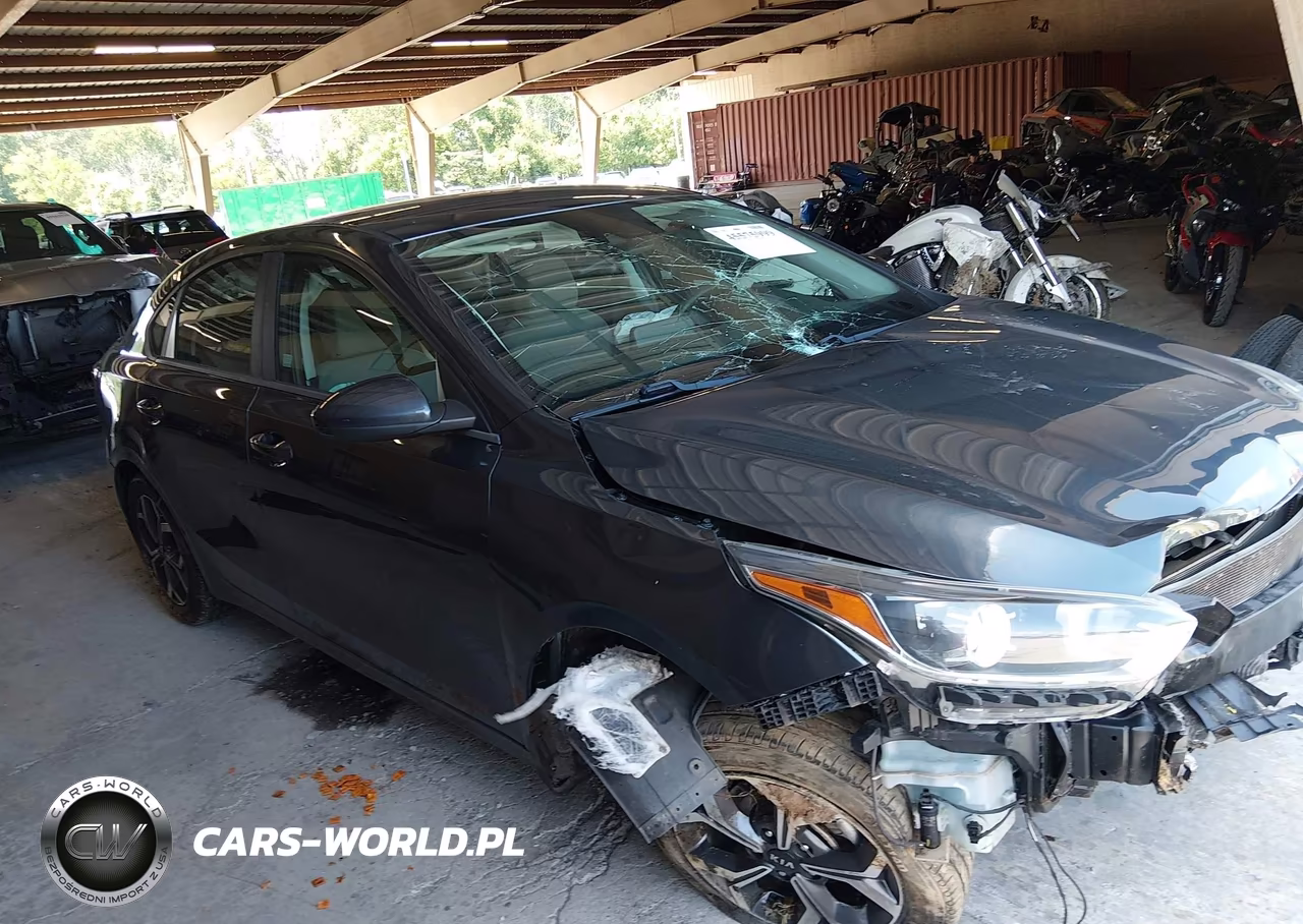 2019 Kia Forte Lxs VIN:3KPF24AD5KE065305 - 14