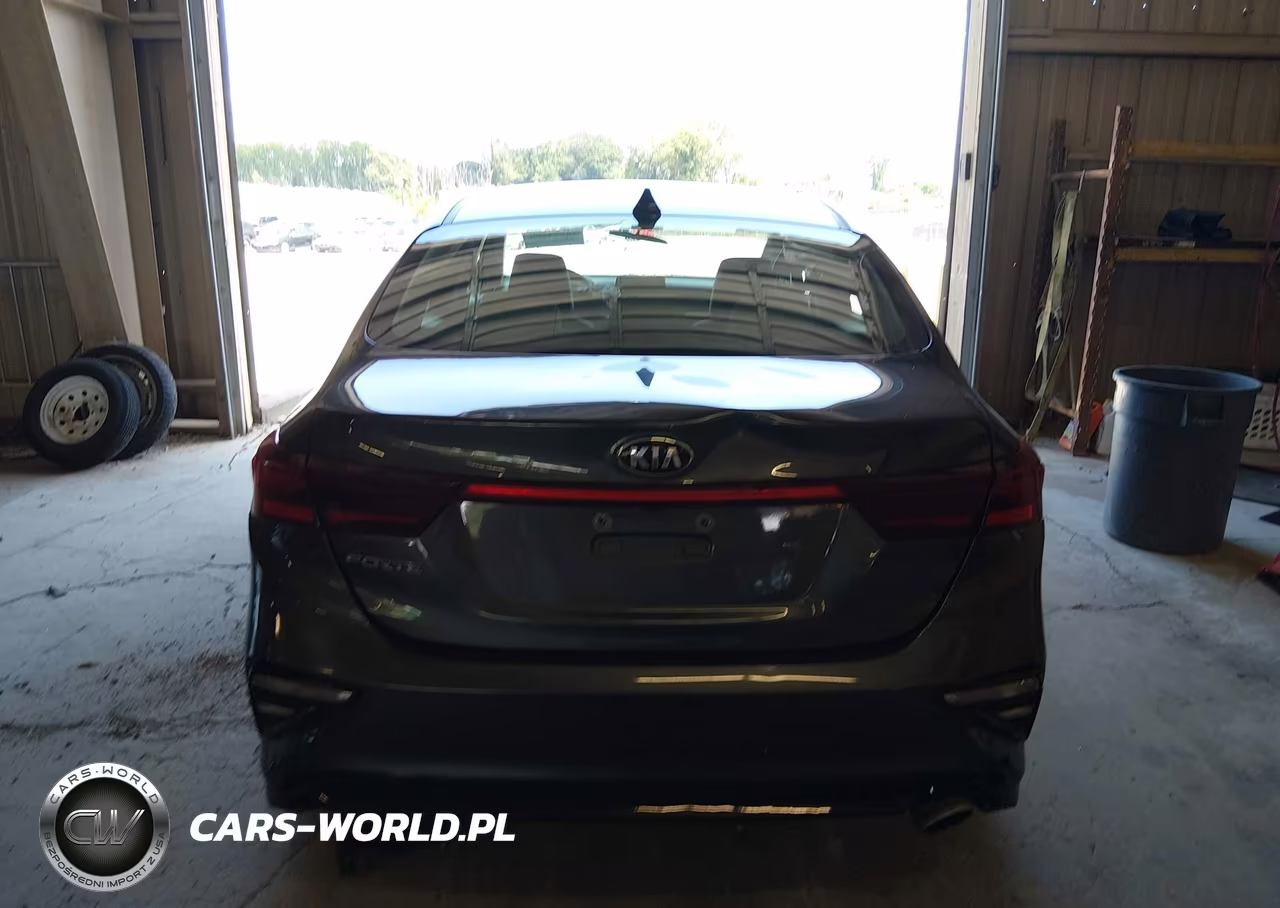 2019 Kia Forte Lxs VIN:3KPF24AD5KE065305 - 17