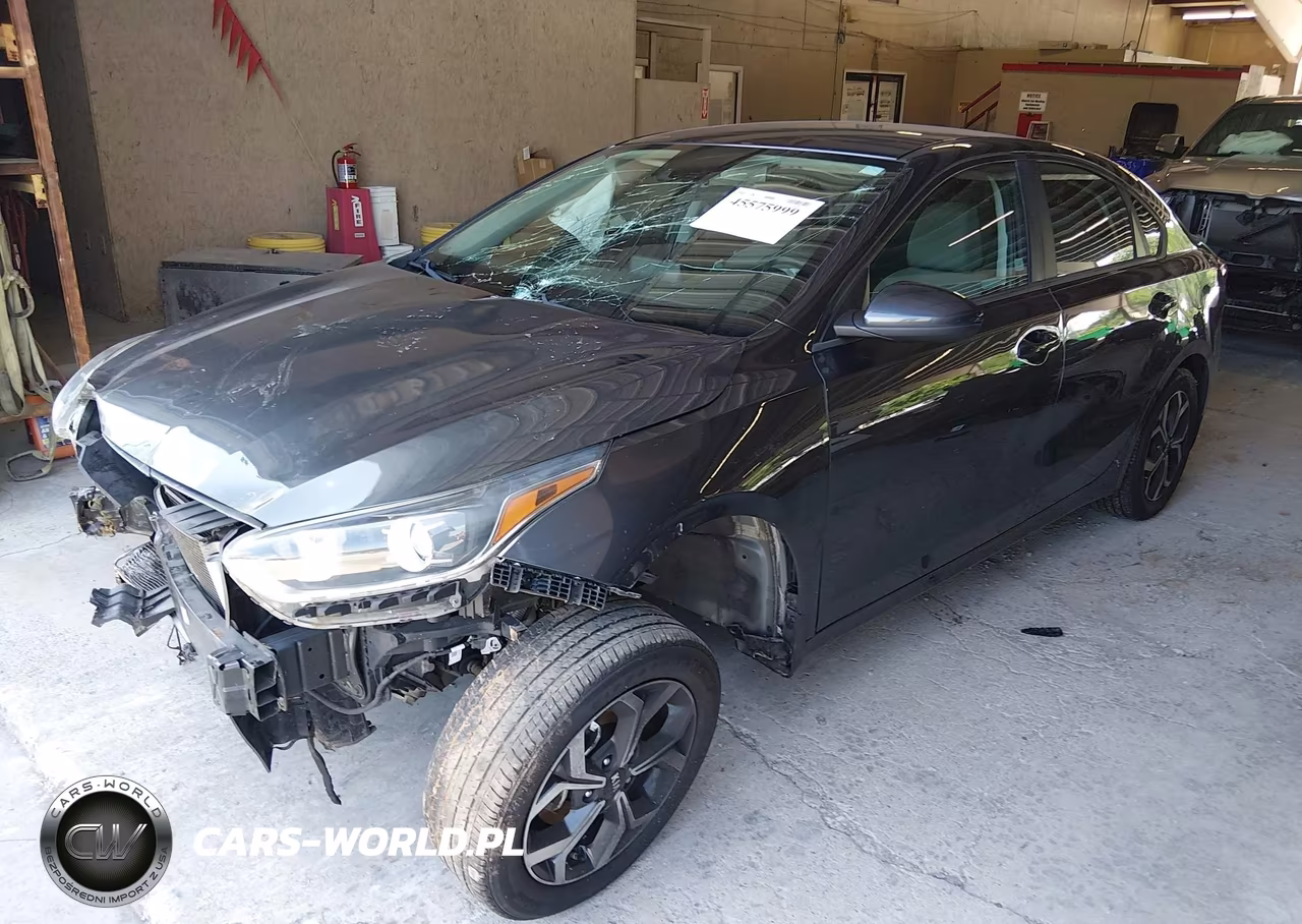 2019 Kia Forte Lxs VIN:3KPF24AD5KE065305 - 2