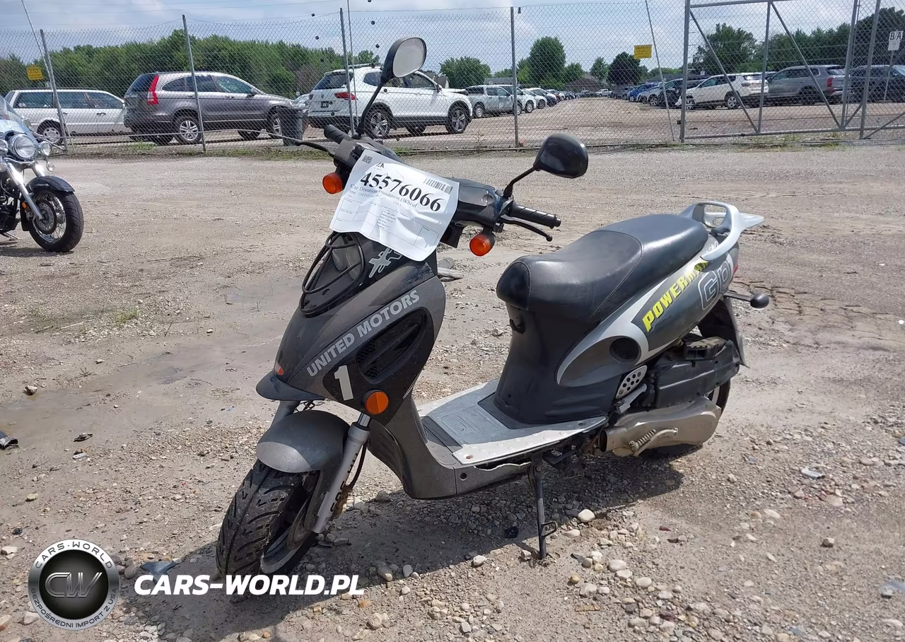 2006 United Motors 250 VIN:LFFSKT6C461011659 - 2