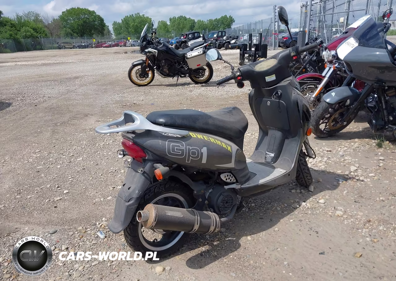2006 United Motors 250 VIN:LFFSKT6C461011659 - 4