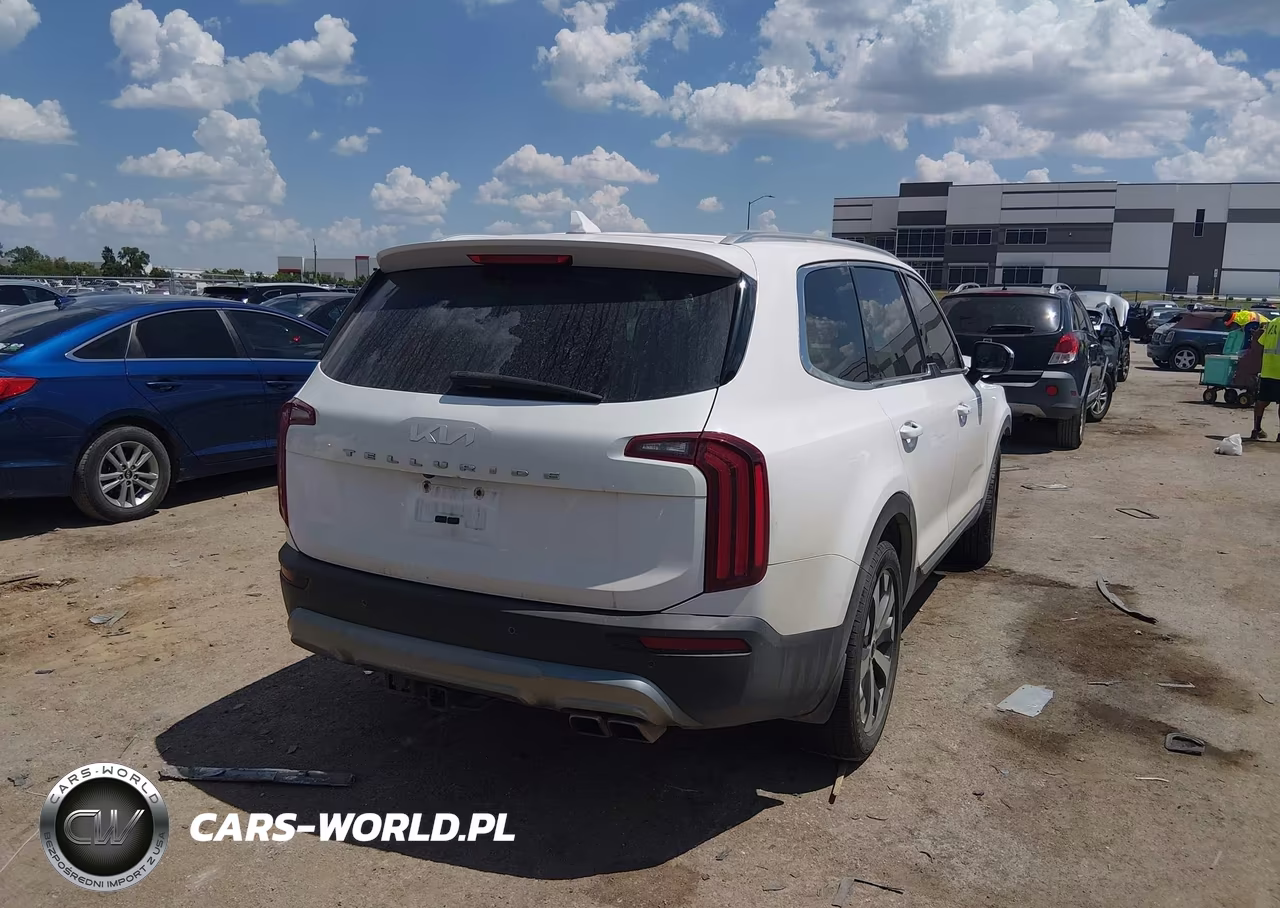 2022 Kia Telluride Ex VIN:5XYP34HC1NG253390 - 4