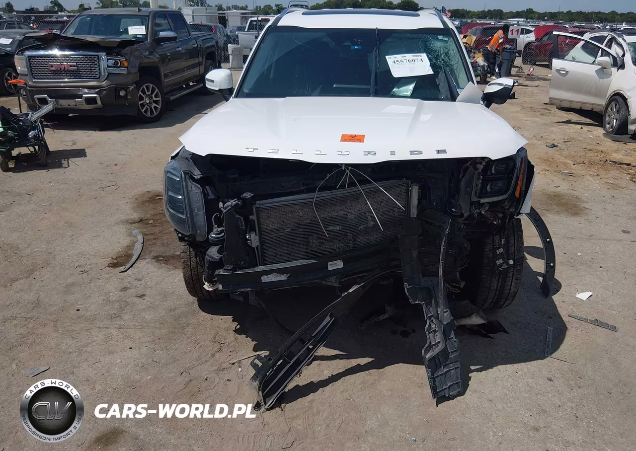 2022 Kia Telluride Ex VIN:5XYP34HC1NG253390 - 6