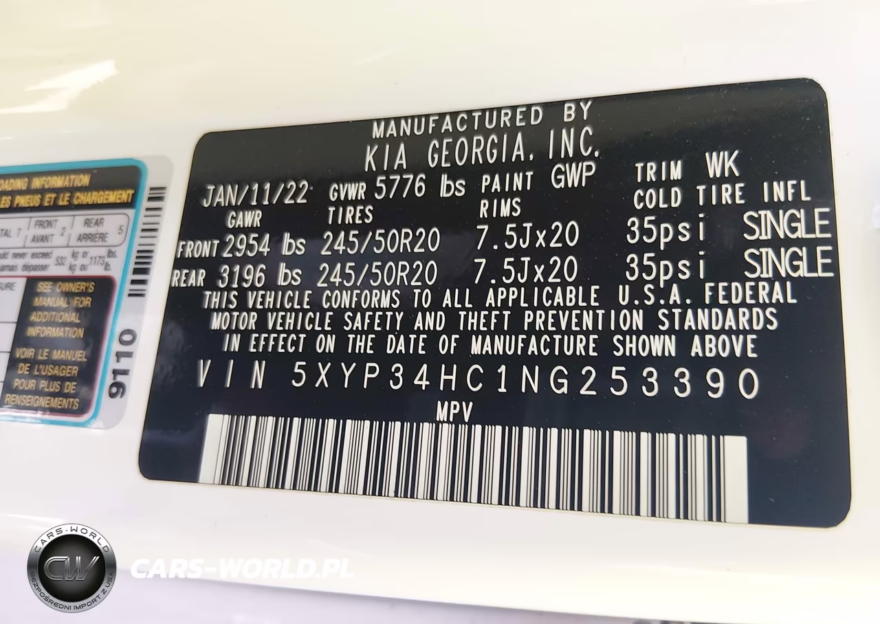 2022 Kia Telluride Ex VIN:5XYP34HC1NG253390 - 9