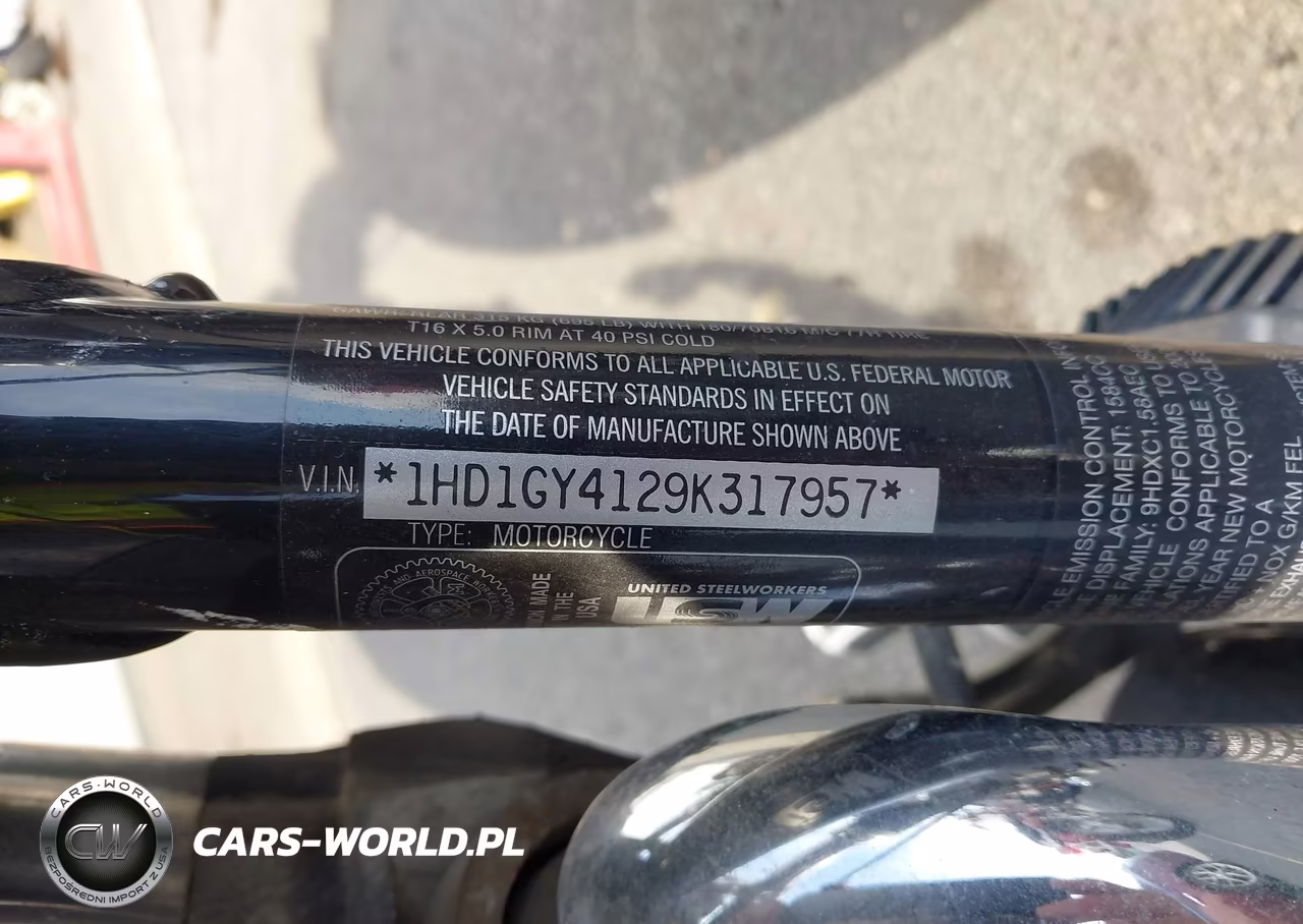 2009 Harley-Davidson Fxdf VIN:1HD1GY4129K317957 - 10