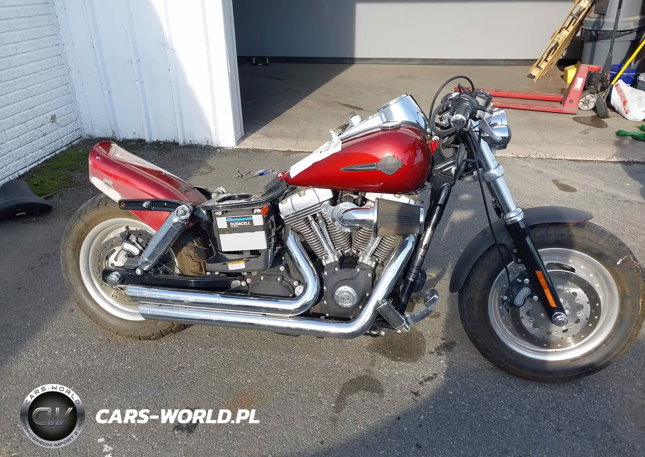 2009 Harley-Davidson Fxdf VIN:1HD1GY4129K317957 - 12