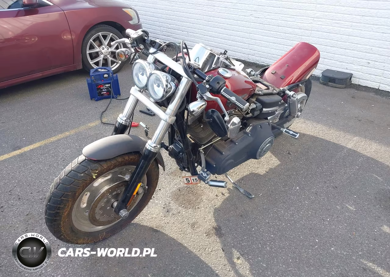 2009 Harley-Davidson Fxdf VIN:1HD1GY4129K317957 - 2