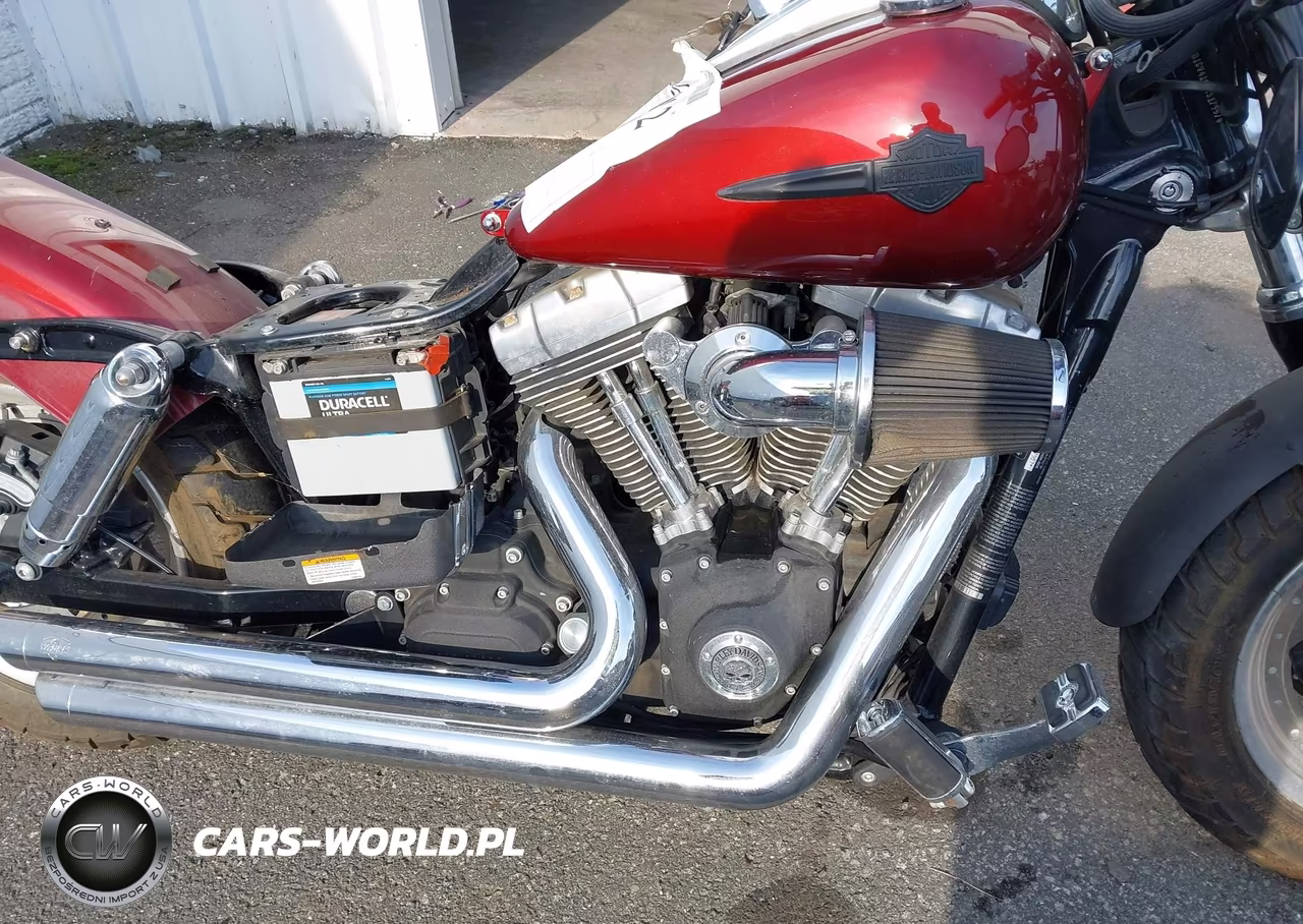 2009 Harley-Davidson Fxdf VIN:1HD1GY4129K317957 - 8