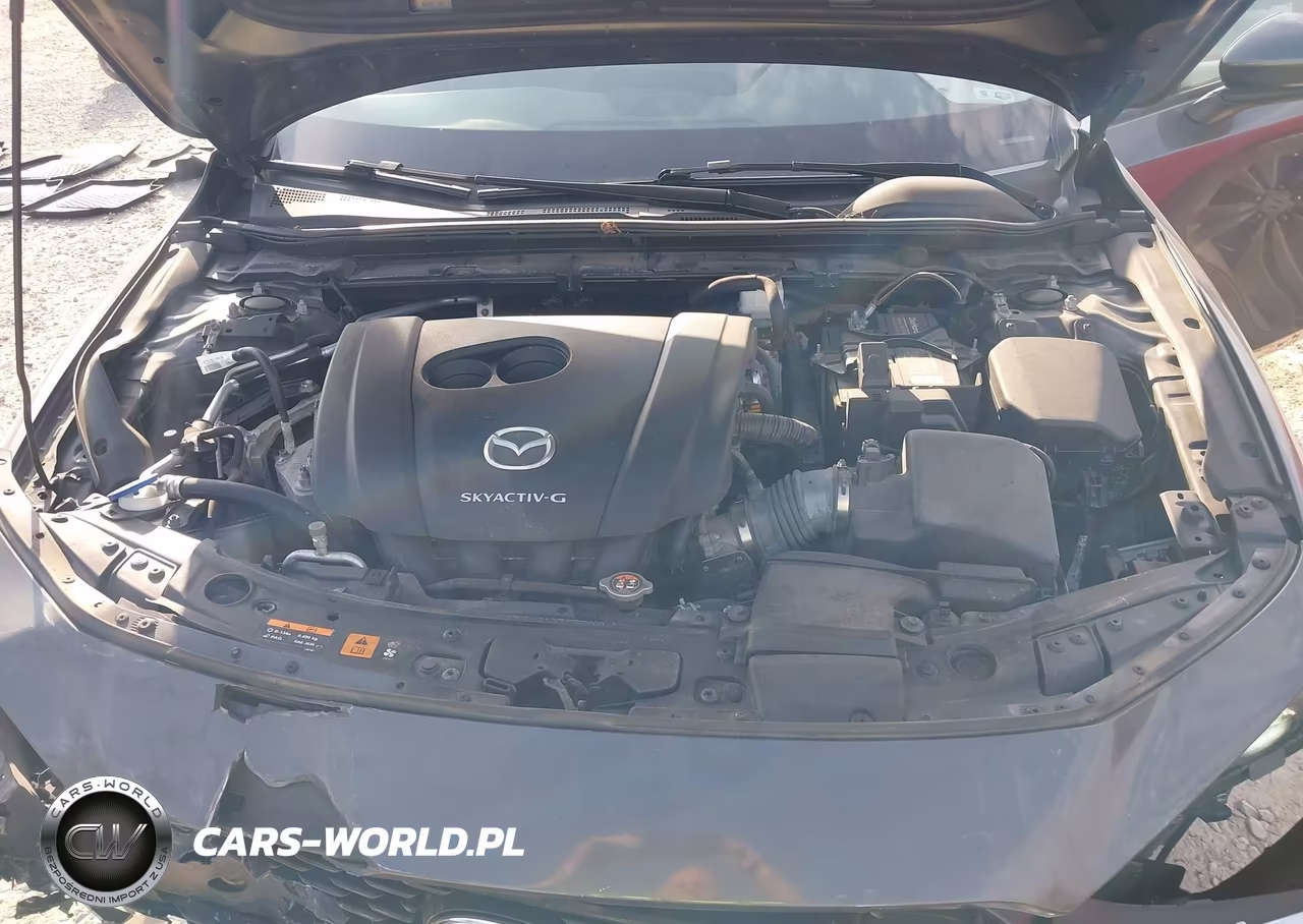 2019 Mazda Mazda3 Preferred Package VIN:3MZBPADLXKM111778 - 10