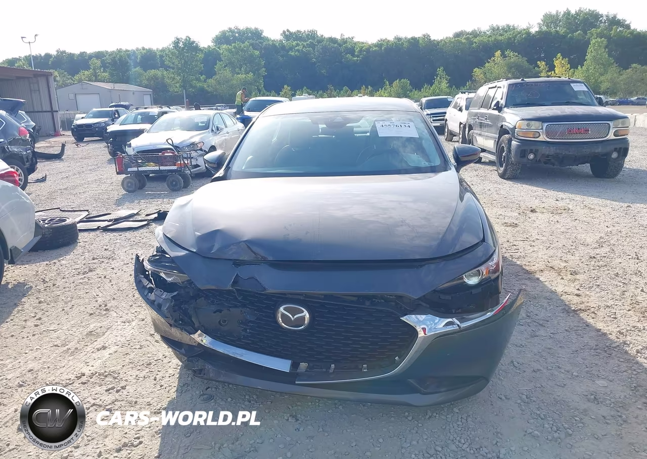 2019 Mazda Mazda3 Preferred Package VIN:3MZBPADLXKM111778 - 13