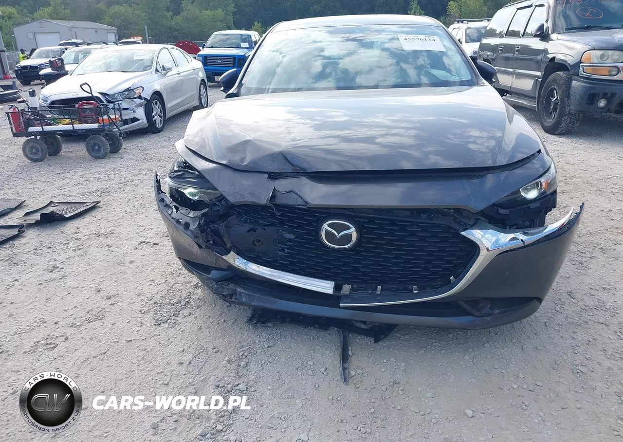 2019 Mazda Mazda3 Preferred Package VIN:3MZBPADLXKM111778 - 6