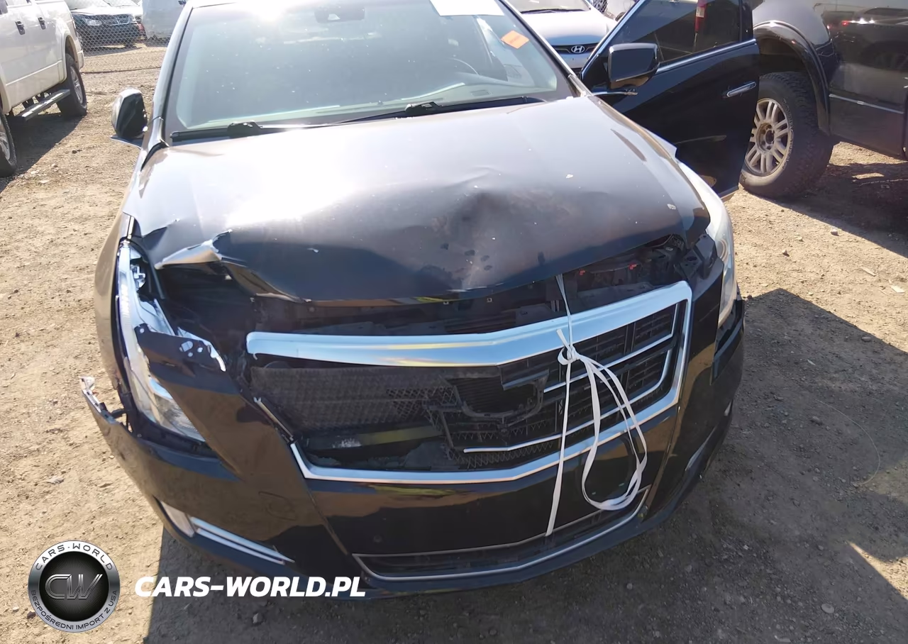 2016 Cadillac Xts Luxury Collection VIN:2G61M5S3XG9109291 - 6