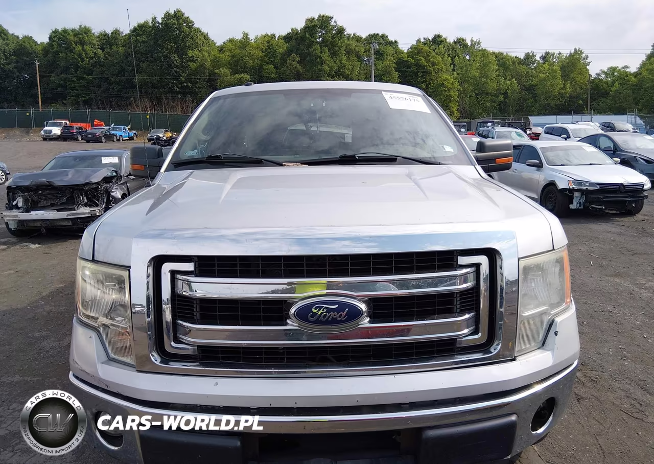 2012 Ford F-150 Xlt VIN:1FTFX1EF8CKD09507 - 12
