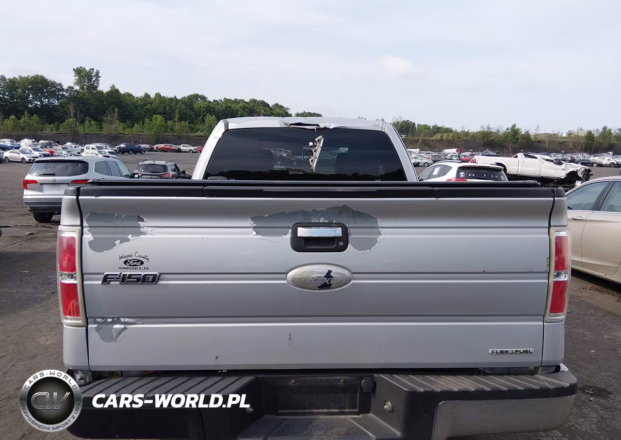 2012 Ford F-150 Xlt VIN:1FTFX1EF8CKD09507 - 16