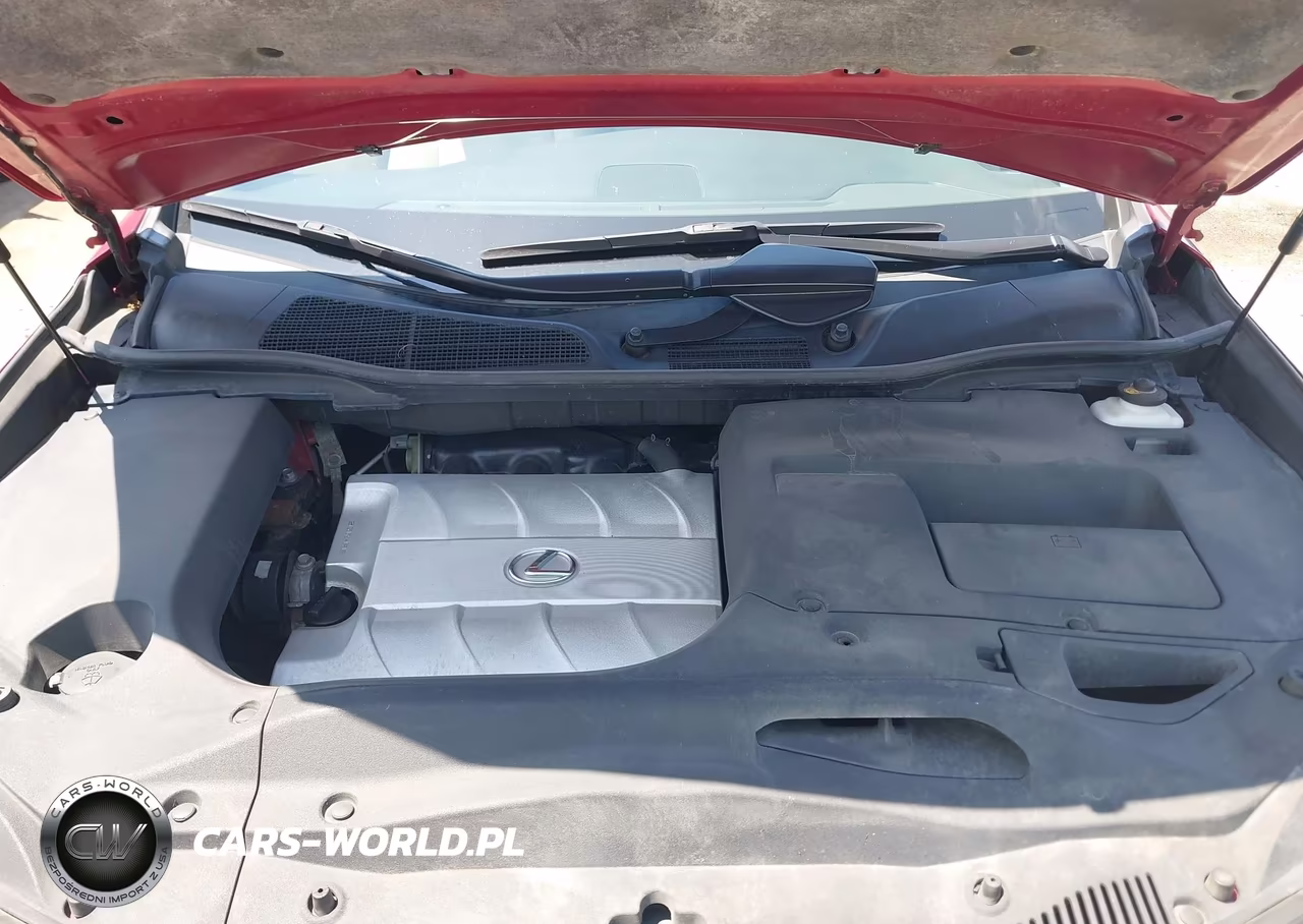 2010 Lexus Rx 350 VIN:2T2BK1BA2AC008103 - 10