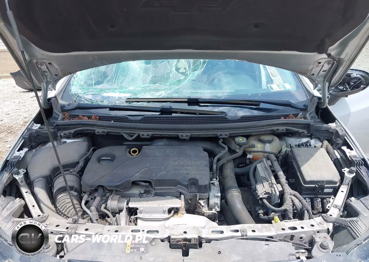 2019 Chevrolet Cruze Diesel VIN:1G1BJ5SM9K7104606 - 10