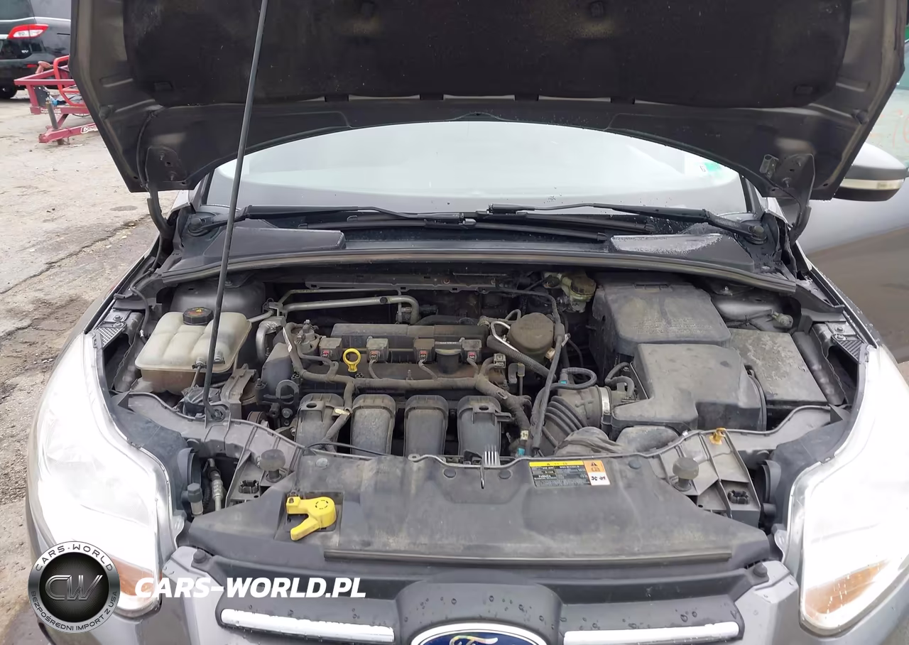 2013 Ford Focus Se VIN:1FADP3F2XDL370003 - 10