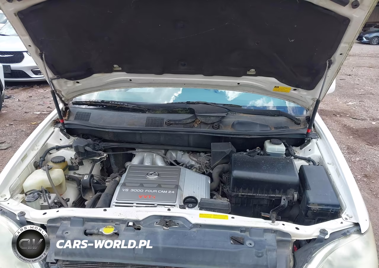 2001 Lexus Rx 300 VIN:JTJHF10U710176746 - 10