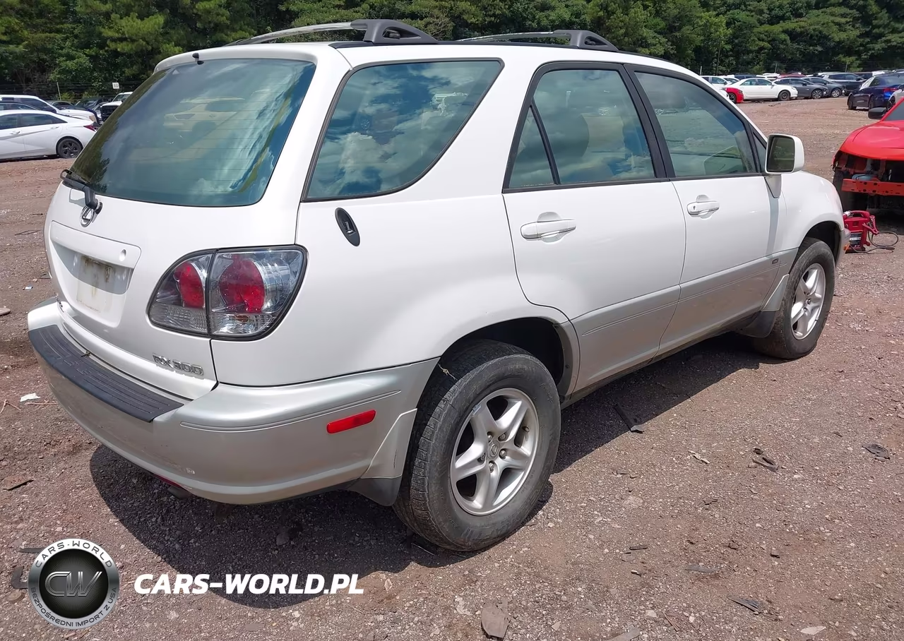 2001 Lexus Rx 300 VIN:JTJHF10U710176746 - 4