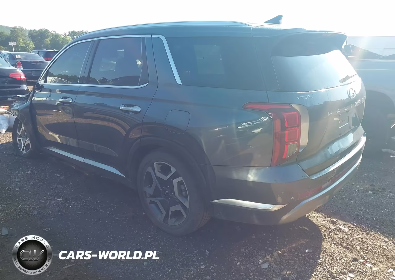 2023 Hyundai Palisade Limited VIN:KM8R54GE6PU490492 - 3