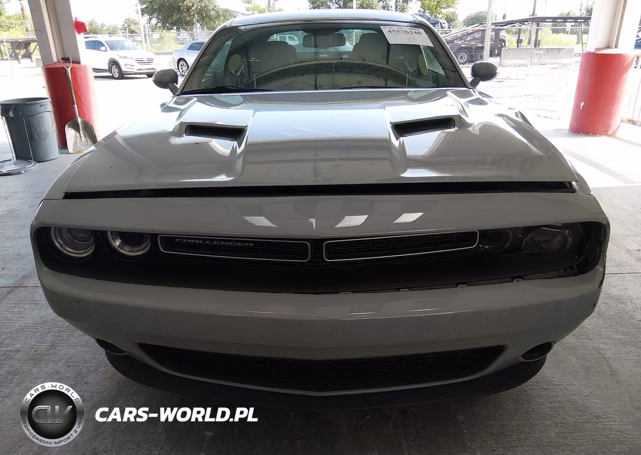 2020 Dodge Challenger Sxt VIN:2C3CDZAG1LH237005 - 12