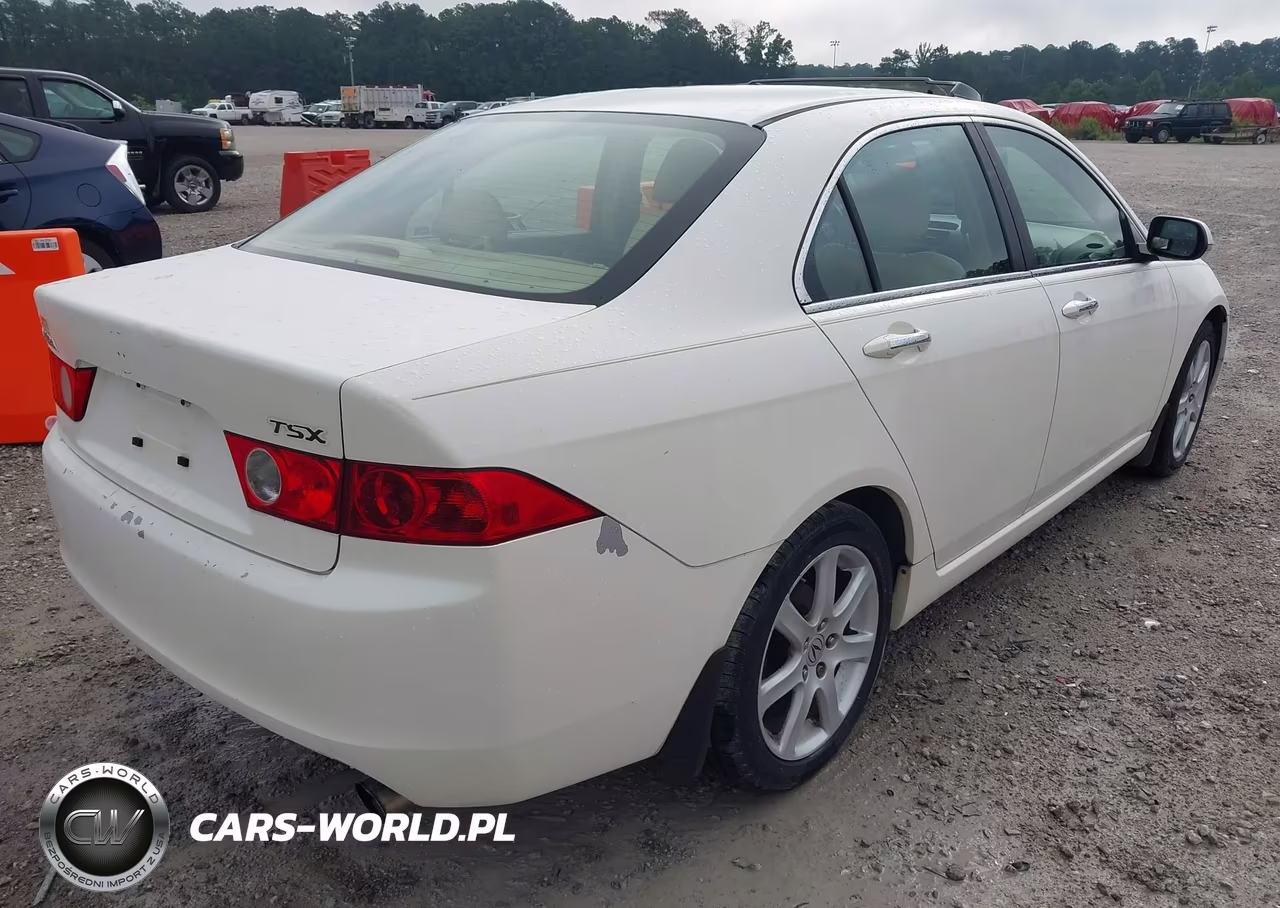 2004 Acura Tsx VIN:JH4CL95894C008771 - 4