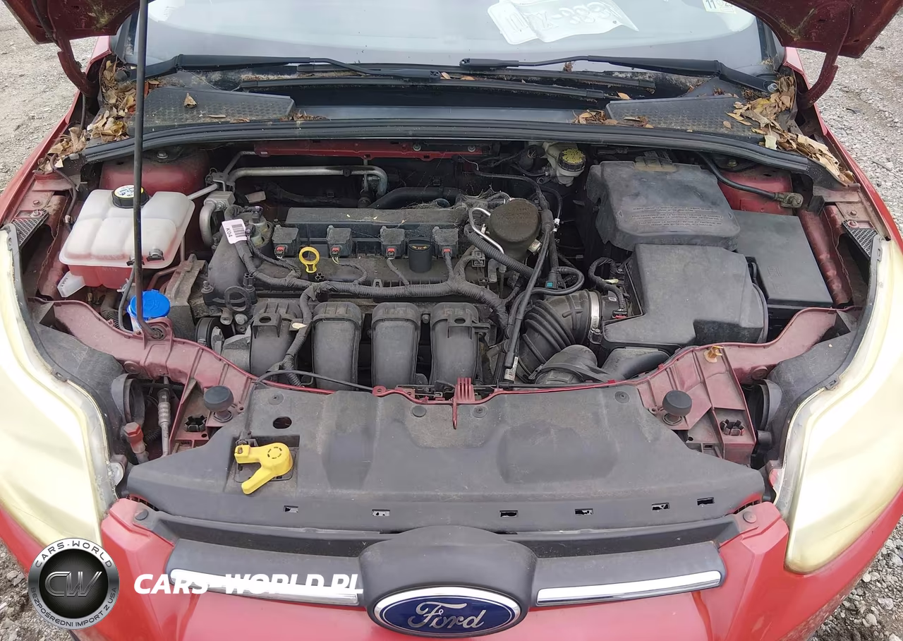 2014 Ford Focus Se VIN:1FADP3F2XEL410727 - 10