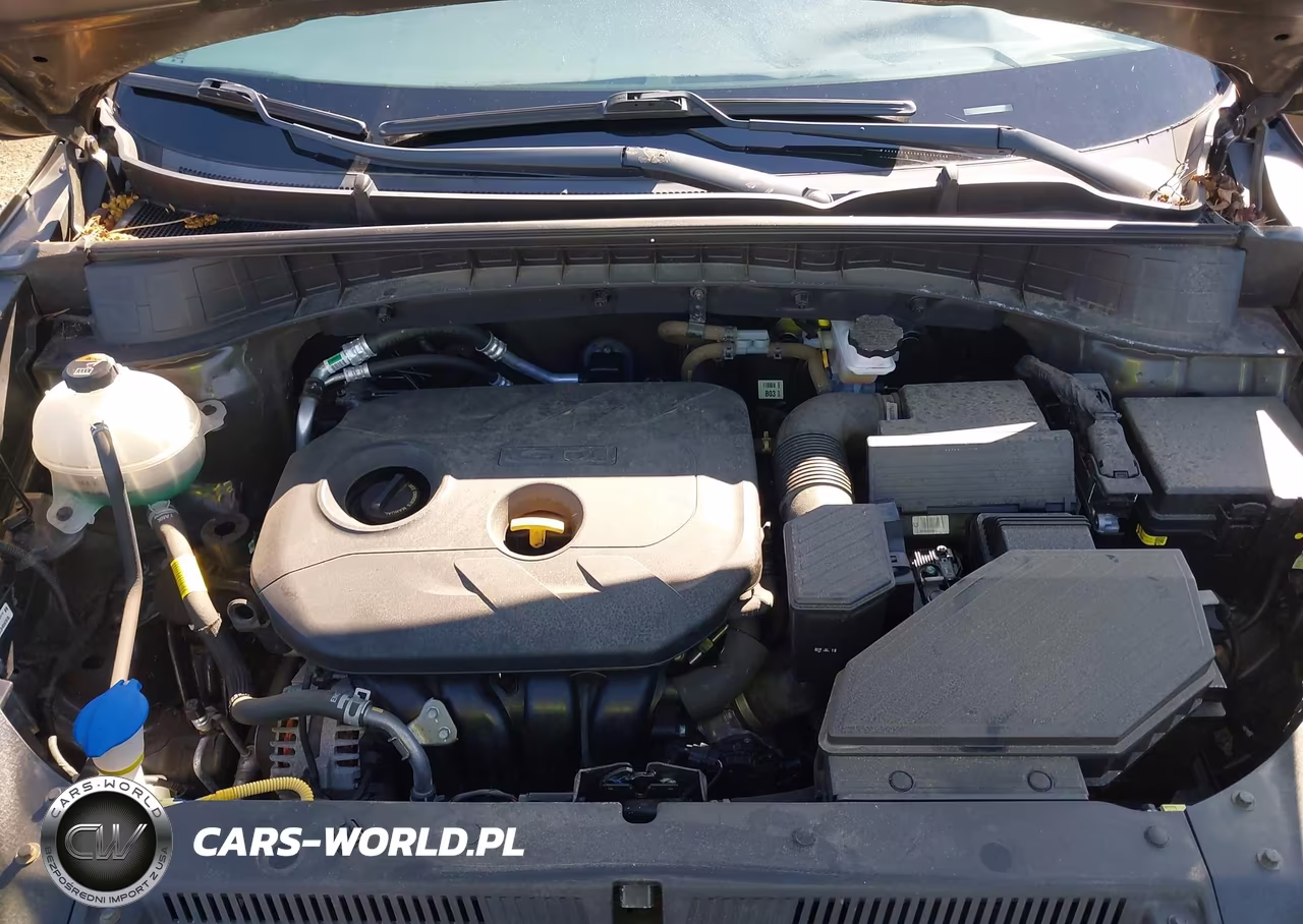 2019 Hyundai Tucson Se VIN:KM8J2CA42KU023286 - 10