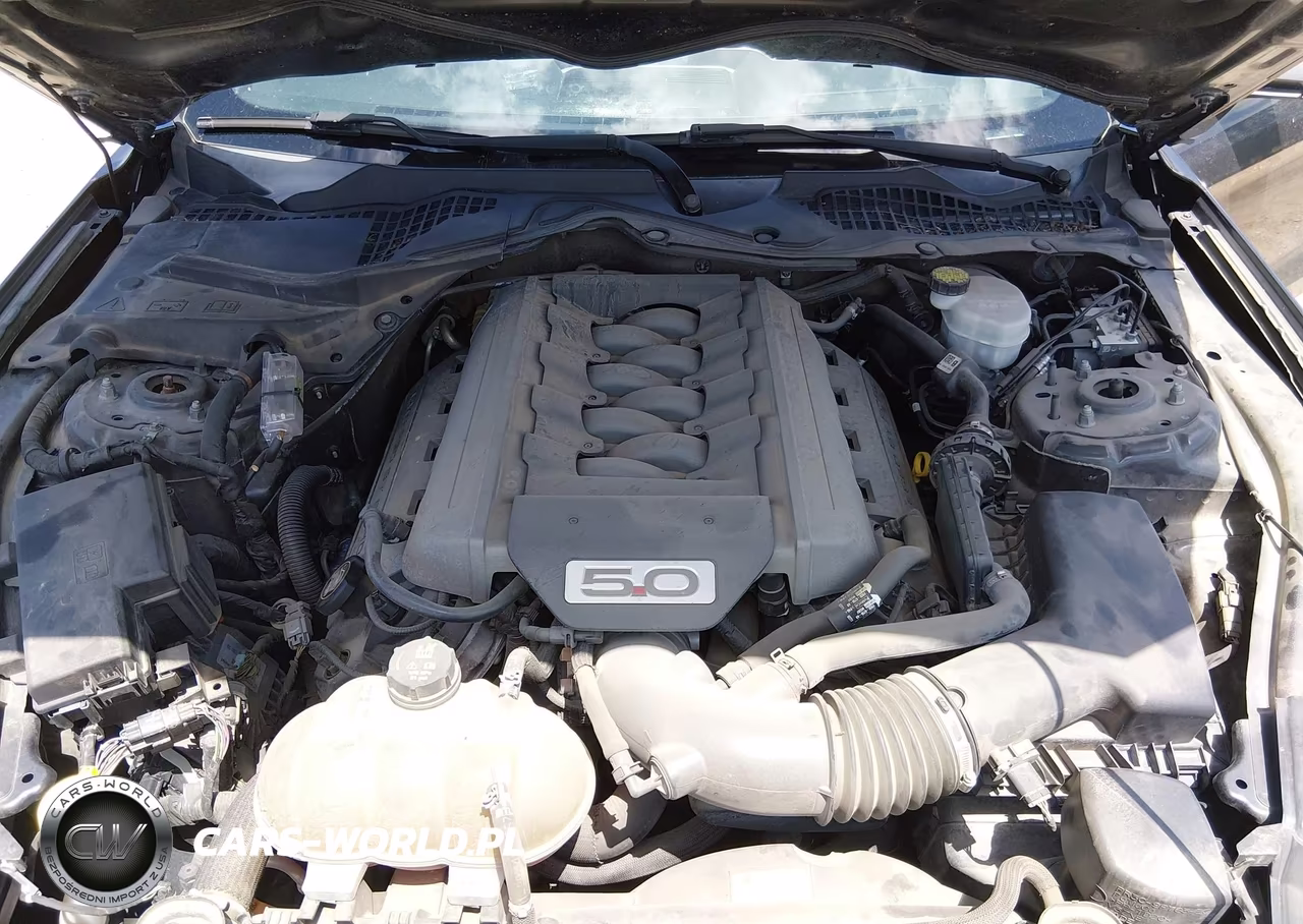 2017 Ford Mustang Gt-Gt Premium VIN:1FA6P8CF3H5250244 - 10