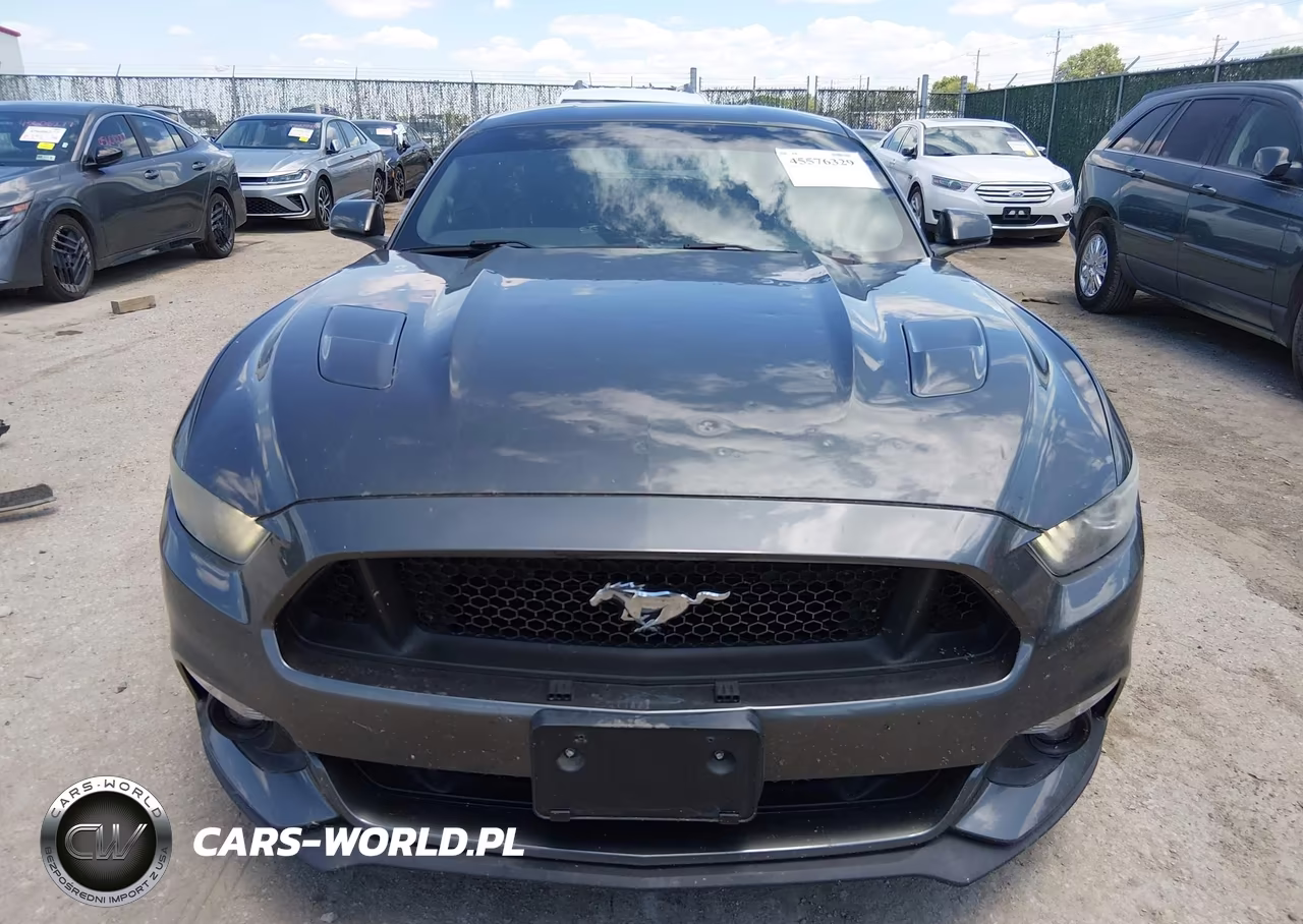 2017 Ford Mustang Gt-Gt Premium VIN:1FA6P8CF3H5250244 - 12
