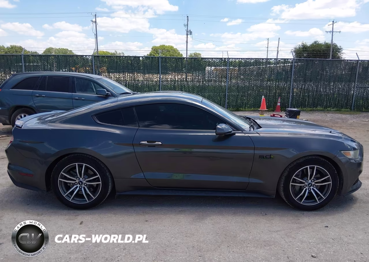 2017 Ford Mustang Gt-Gt Premium VIN:1FA6P8CF3H5250244 - 13