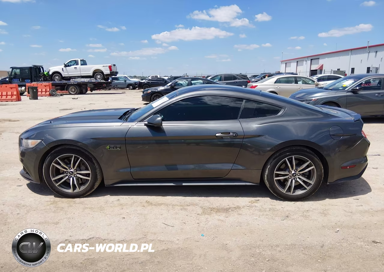 2017 Ford Mustang Gt-Gt Premium VIN:1FA6P8CF3H5250244 - 14