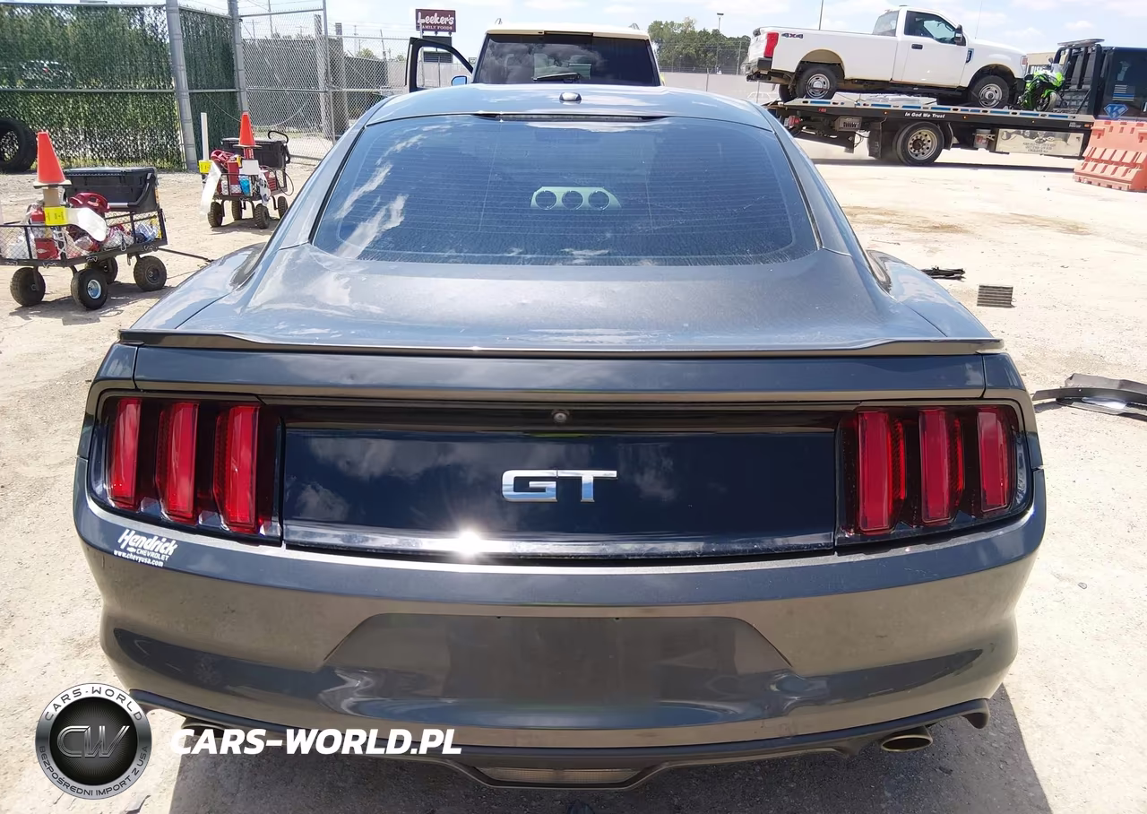2017 Ford Mustang Gt-Gt Premium VIN:1FA6P8CF3H5250244 - 16