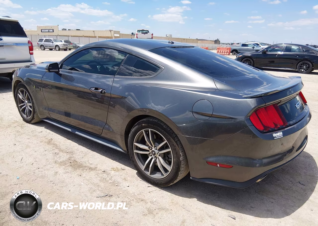 2017 Ford Mustang Gt-Gt Premium VIN:1FA6P8CF3H5250244 - 3