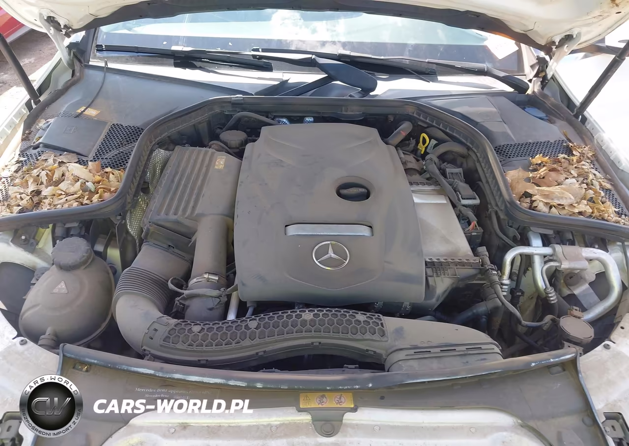 2016 Mercedes-Benz C 300 VIN:55SWF4JB1GU151178 - 10