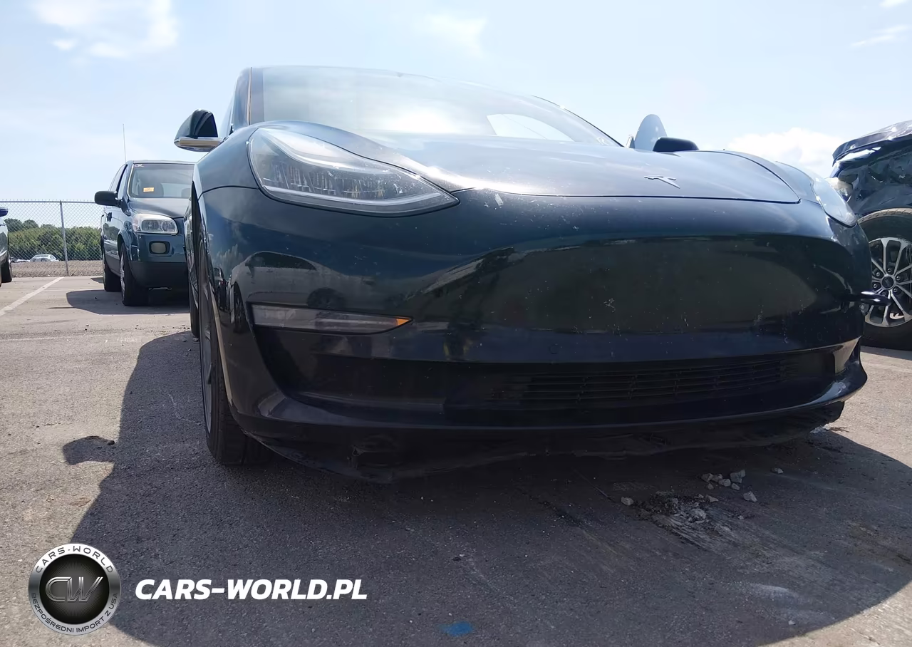 2020 Tesla Model 3 Long Range Dual Motor All-Wheel Drive VIN:5YJ3E1EB8LF710378 - 19