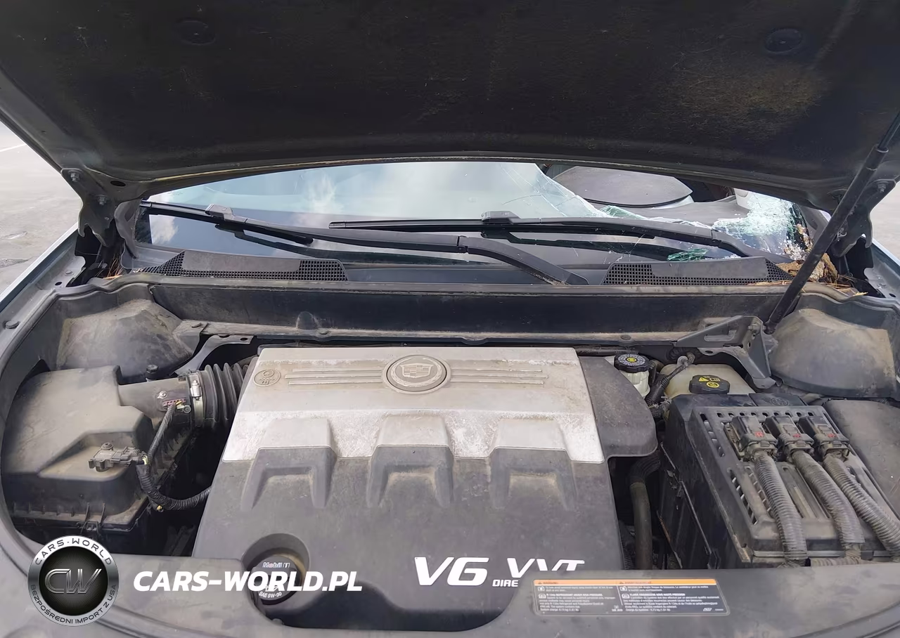 2010 Cadillac Srx Luxury Collection VIN:3GYFNAEY4AS546918 - 10