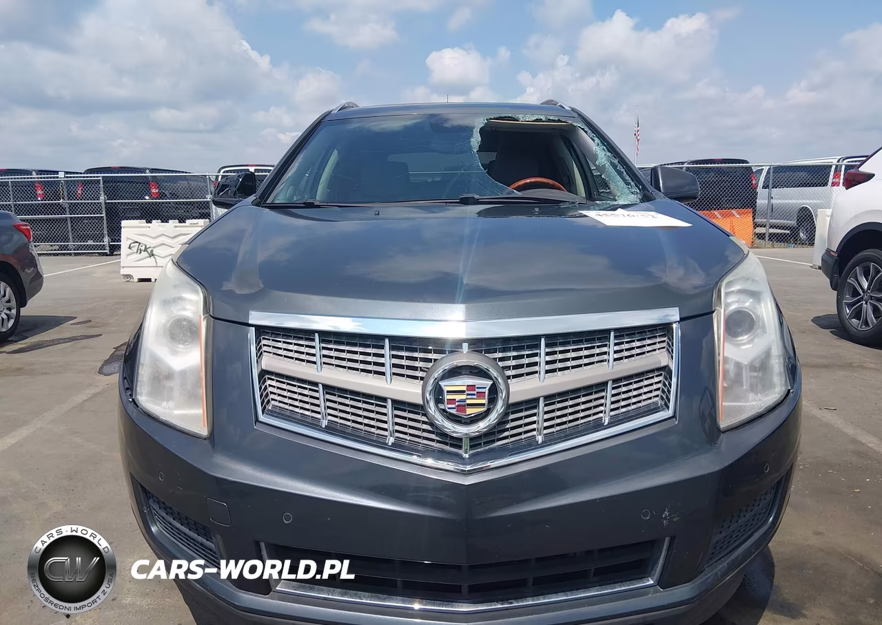 2010 Cadillac Srx Luxury Collection VIN:3GYFNAEY4AS546918 - 12