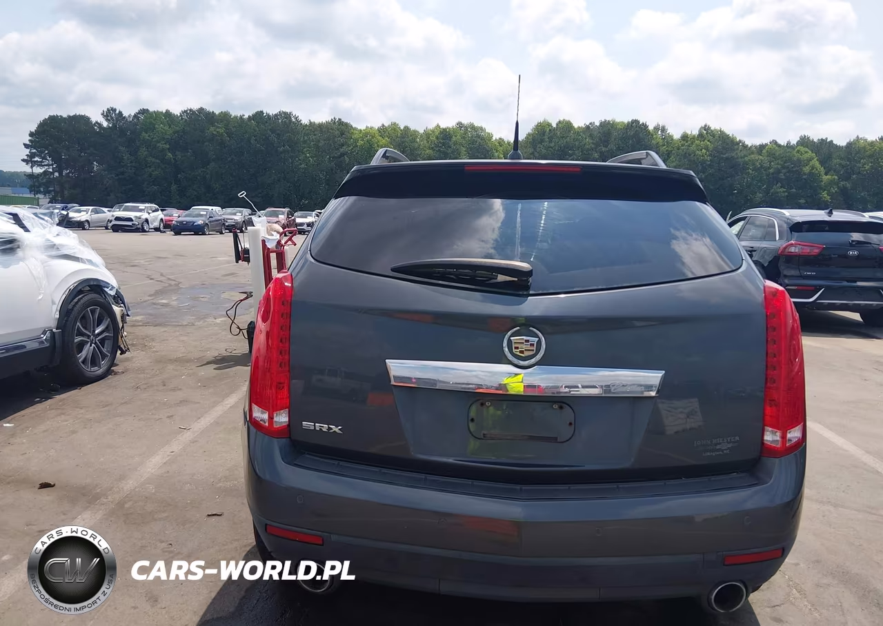 2010 Cadillac Srx Luxury Collection VIN:3GYFNAEY4AS546918 - 16