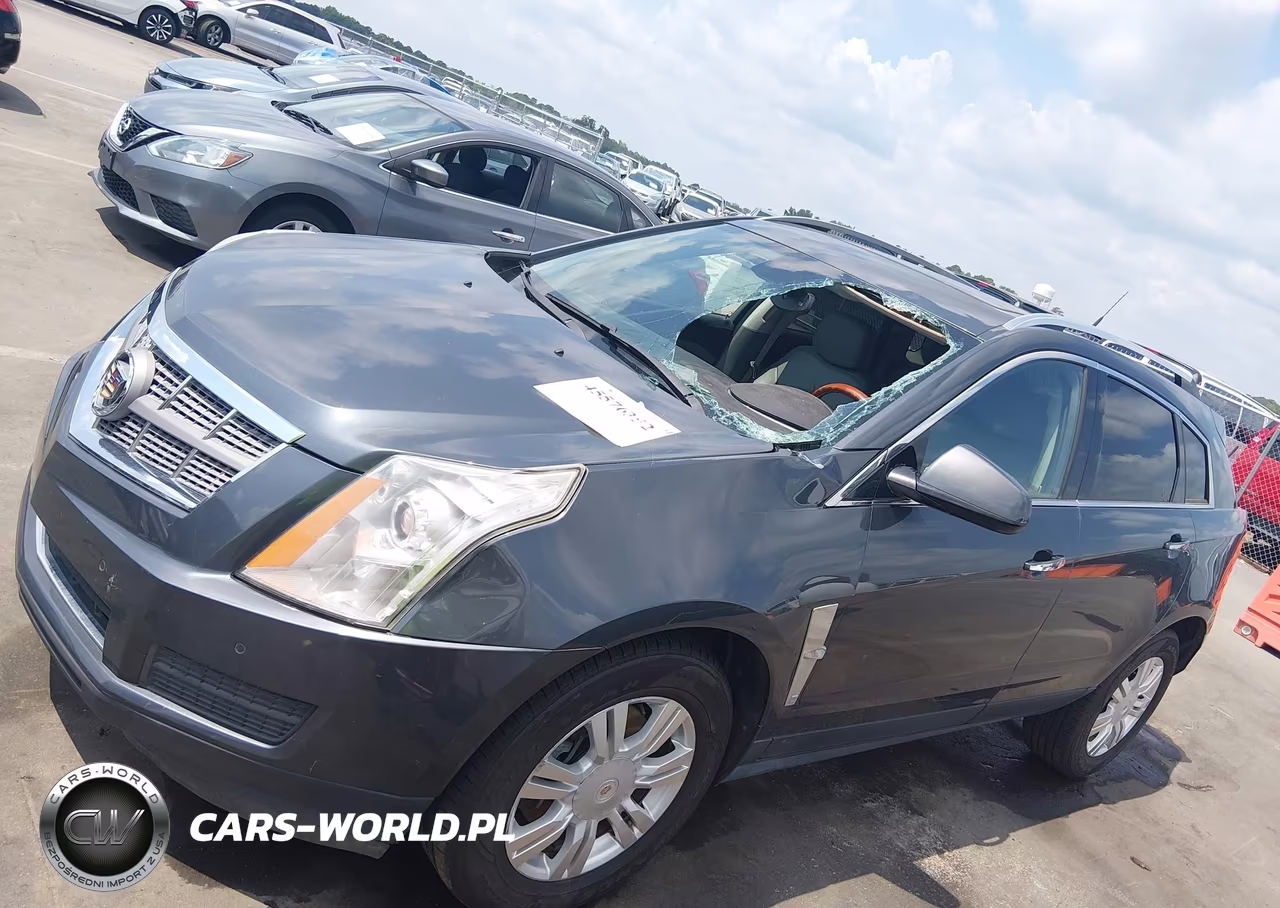 2010 Cadillac Srx Luxury Collection VIN:3GYFNAEY4AS546918 - 2