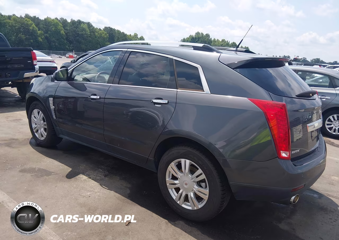 2010 Cadillac Srx Luxury Collection VIN:3GYFNAEY4AS546918 - 3
