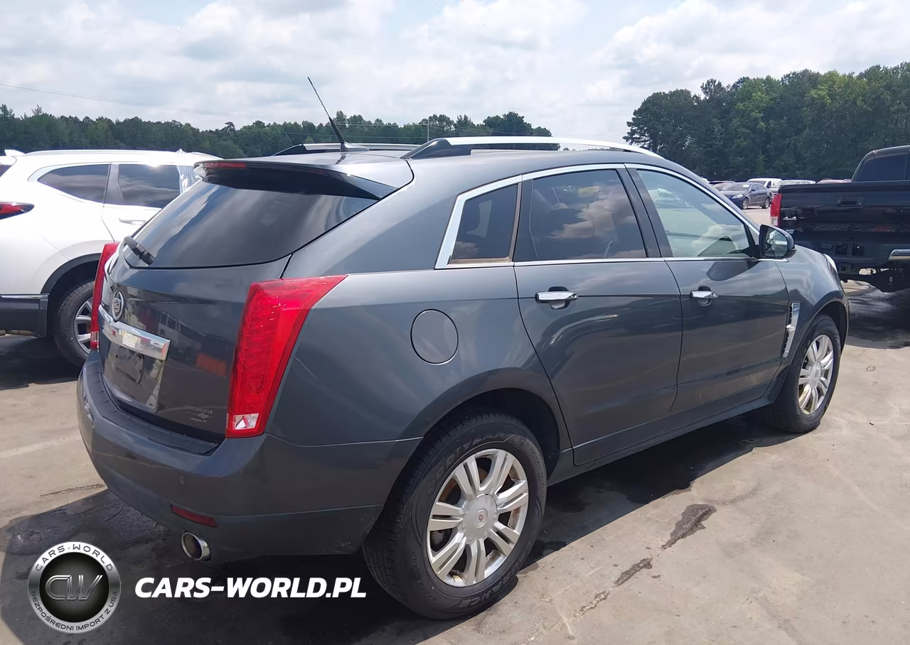 2010 Cadillac Srx Luxury Collection VIN:3GYFNAEY4AS546918 - 4