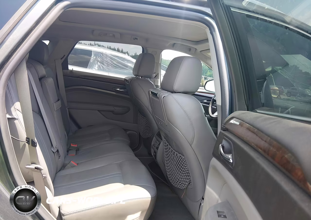 2010 Cadillac Srx Luxury Collection VIN:3GYFNAEY4AS546918 - 8