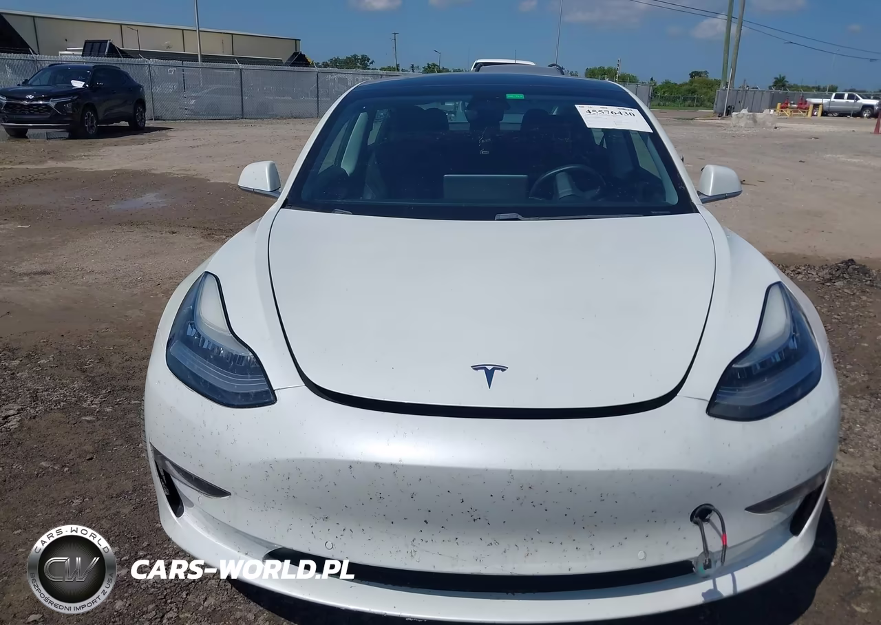 2019 Tesla Model 3 Long Range-Mid Range-Standard Range-Standard Range Plus VIN:5YJ3E1EA4KF476570 - 10